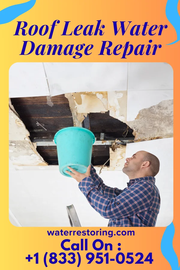 Roof Leak Water Damage Repair in Fairview Crossroads, SC