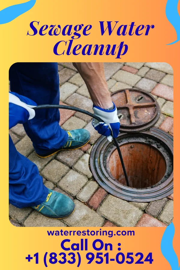 Sewage Water Cleanup in Fairview Crossroads, SC